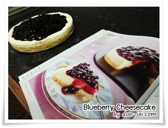 Blueberry_Cheesecake_033