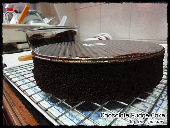 Chocolate_Fudge_Cake_019