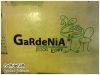 Gardenia_ku_002