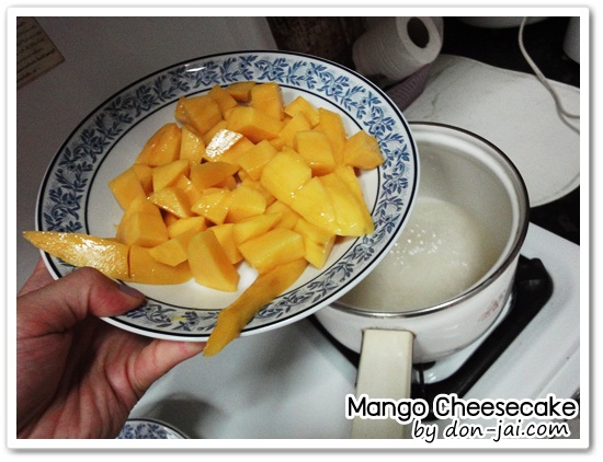 Mango_Cheesecake024
