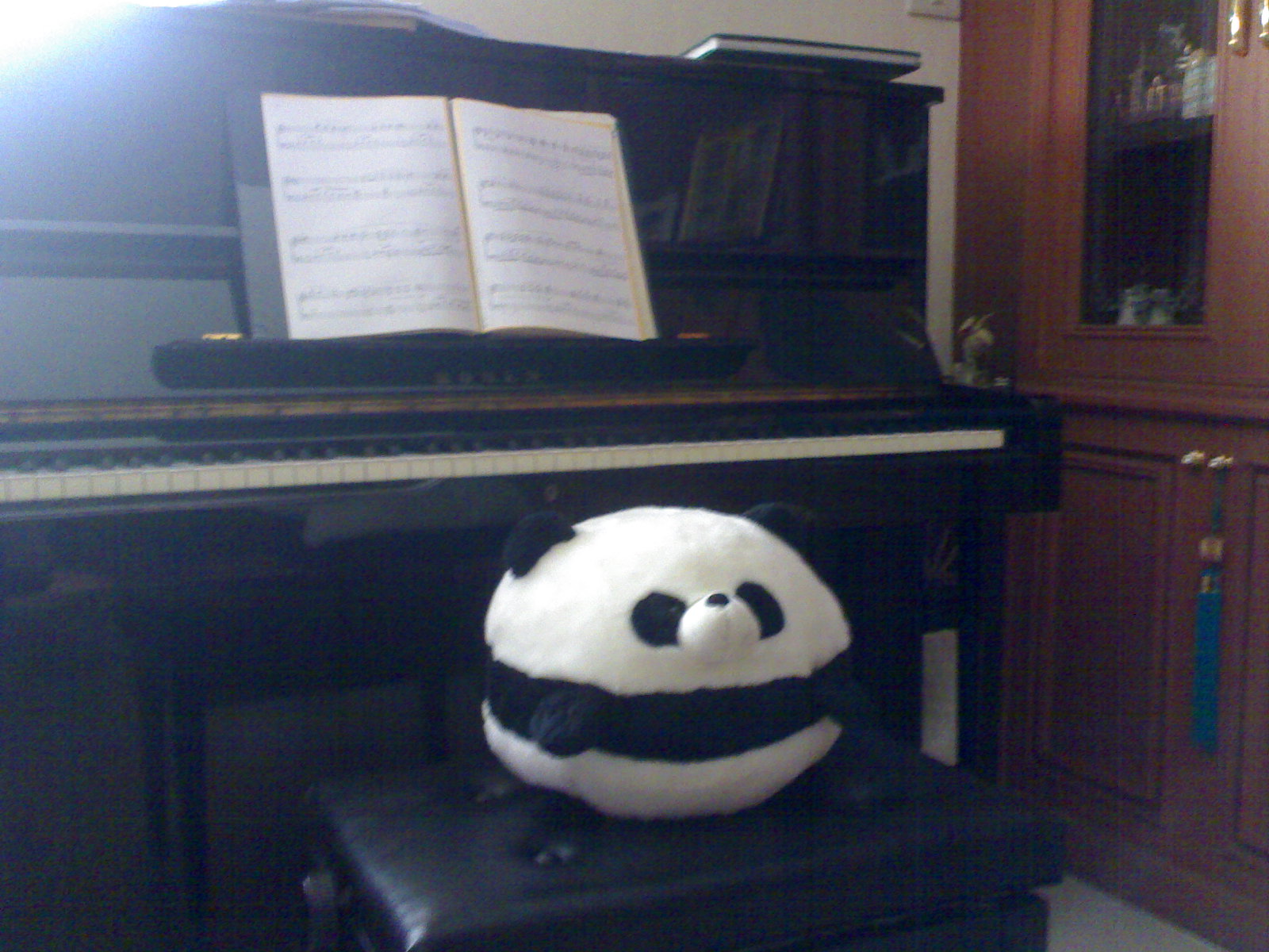 Panda001.jpg