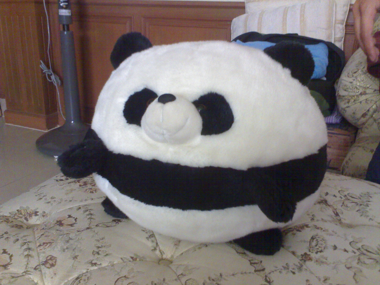 Panda002.jpg