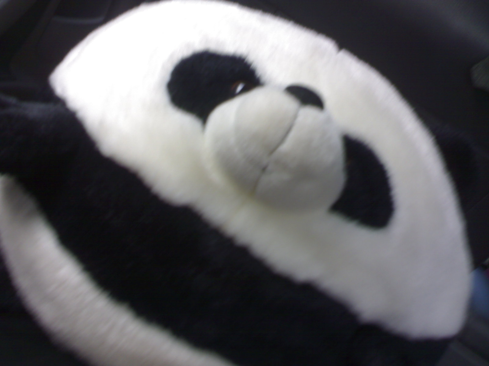 Panda004.jpg