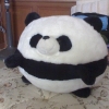 Panda002.jpg
