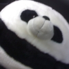 Panda004.jpg