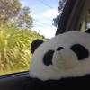Panda005.jpg
