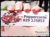 Peppercorns_021