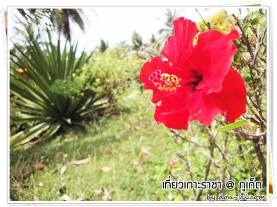 racha-island_phuket034
