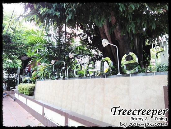 Treecreeper_Silom021
