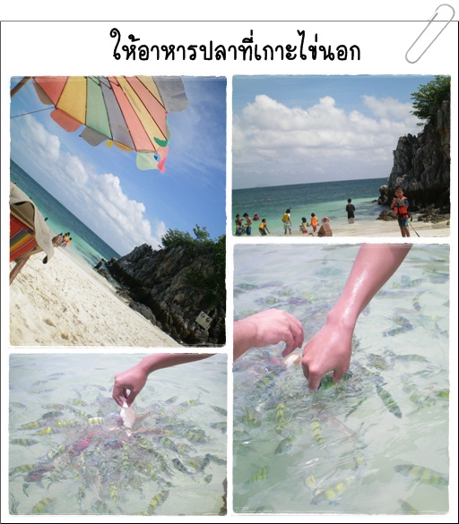 Phuket_3_FeedFishAtKaiNok.jpg