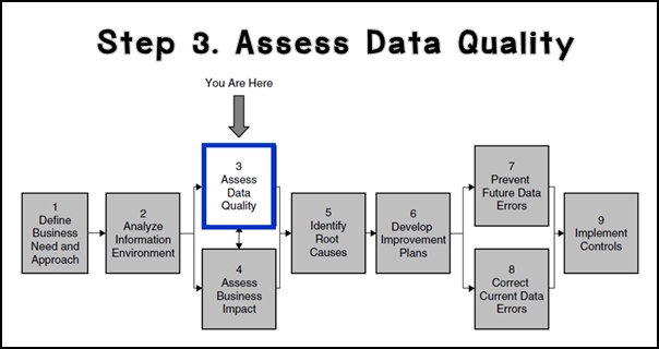 Step_3_Assess_Data_Quality.jpg