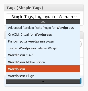 Simple_Tags_can__t_work_with_this_WordPress_version__2.jpg