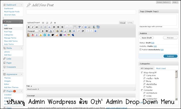 wordpress_admin_drop_down_before.jpg