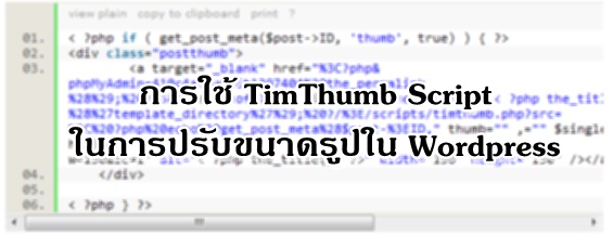 timthumb_script.jpg