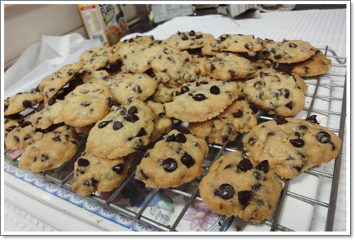 Cookies__chocolate_chip_5.JPG