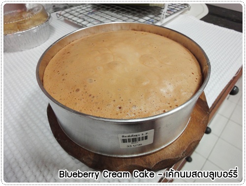 Blueberry_Cream_Cake_12.JPG