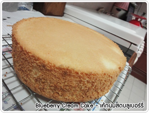 Blueberry_Cream_Cake_13.JPG