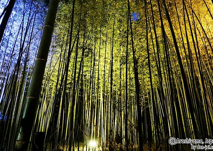 โดนใจไปญี่ปุ่น >>Kyoto Arashiyama Hanatouro (Lighting Up) 2016 เกียวโต,ญี่ปุ่น