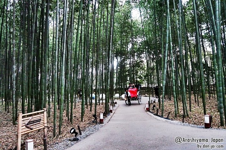 โดนใจไปญี่ปุ่น >> อาราชิยาม่า(Arashiyama) : เที่ยวตามธรรมชาติ ถ่ายรูปกับป่าไผ่ที่เกียวโต,ญี่ปุ่น