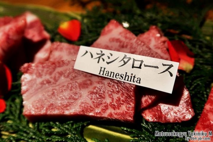 โดนใจไปญี่ปุ่น >> Matsusakagyu Yakiniku M กินปิ้งย่างเนื้อแบบสุดเปรมที่โอซาก้า